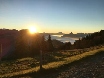 Abendstimmung auf der Sternenegg