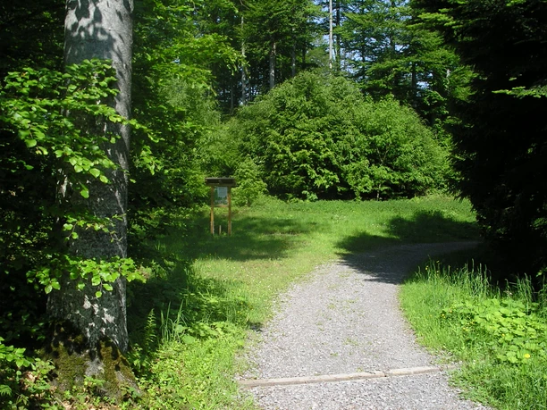Klosterwald