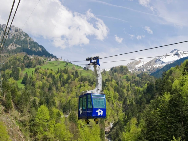 Luftseilbahn Dallenwil–Niederrickenbach
