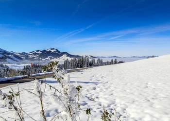 Winterwanderung Finsterwald