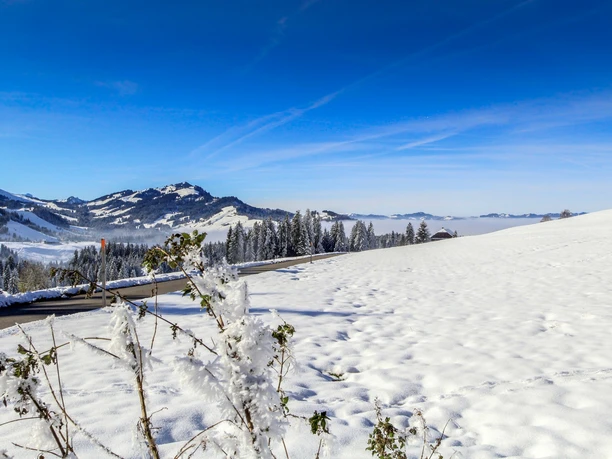 Winterwanderung Finsterwald