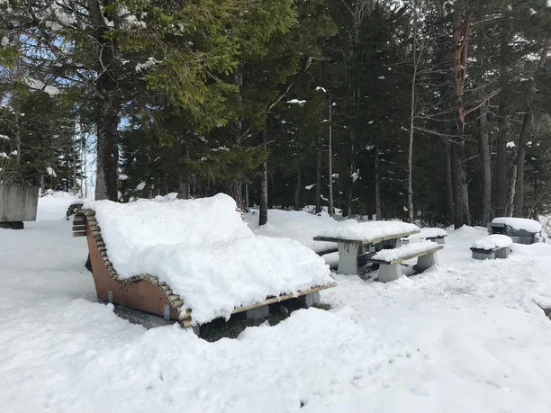 Holzlige am Ende des Winterwanderweges