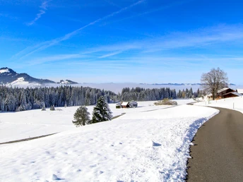 Winterwanderung Finsterwald
