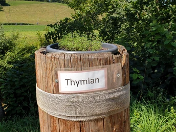 Kräuter entlang dem Weg