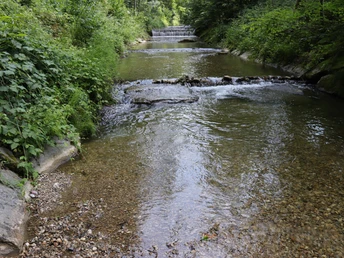 Bach Wigger beim Chrüterhäxli Lilli Gwonderwäg Hergiswil bei Willisau