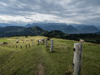 Weg Richtung Alp Chäserenholz