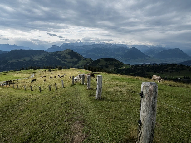 Weg Richtung Alp Chäserenholz