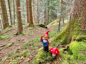 Zwärgliweg Rigi Burggeist