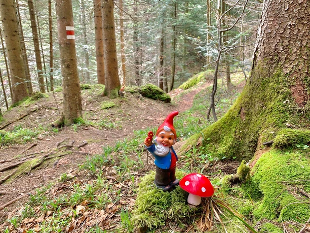 Zwärgliweg Rigi Burggeist