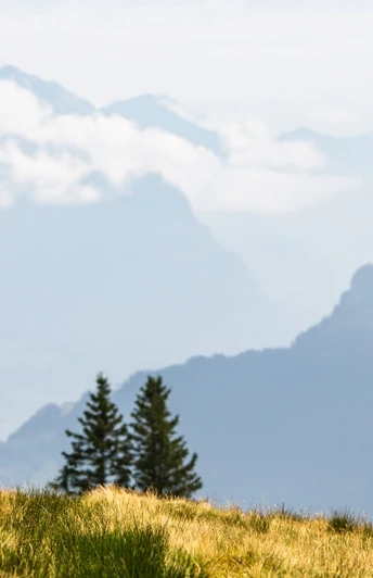 Wandern inmitten einer atemberaubenden Naturkulisse