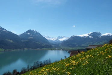 Blick über den Sarnersee in Richtung Giswil mit den Berner Alpen im Hintergrund