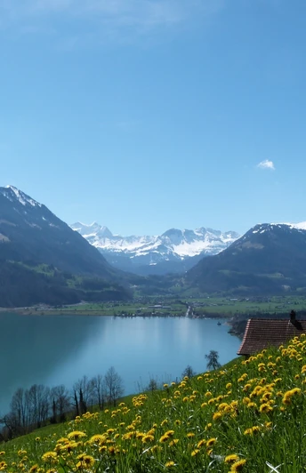 Blick über den Sarnersee in Richtung Giswil mit den Berner Alpen im Hintergrund