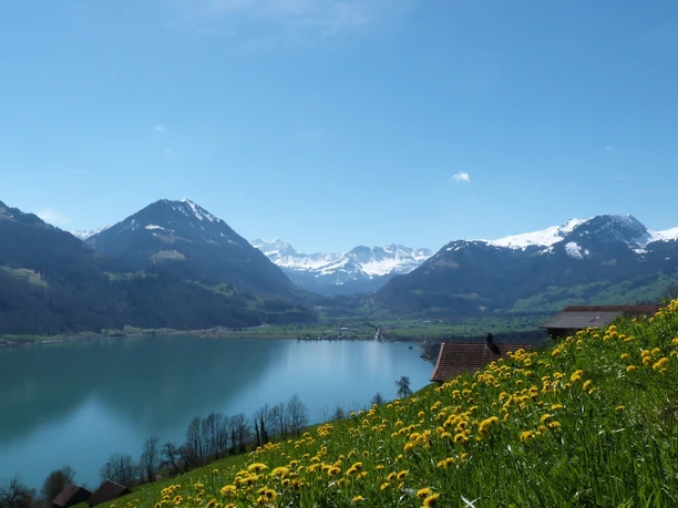 Blick über den Sarnersee in Richtung Giswil mit den Berner Alpen im Hintergrund