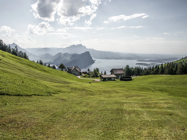 Aussicht über den Vierwaldstättersee