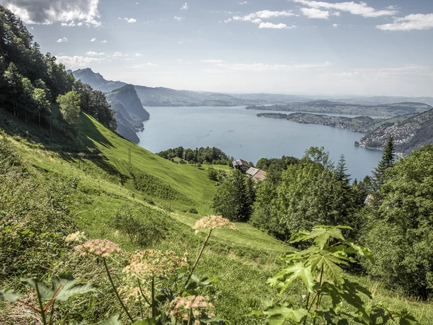 Aussicht
