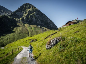 Kiesweg führt über Moor- und Alpwiesen durch geschütztes Hochmoor