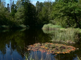 Gerzensee