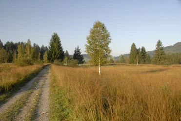 Herbstfarben