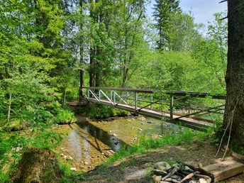 Brücke über die Biber.