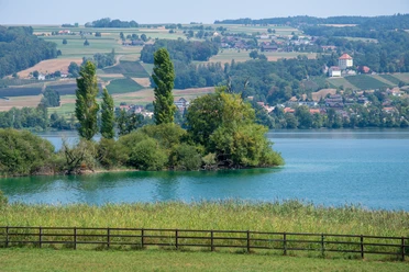 Herlisberg mit Blick auf den Baldeggersee
