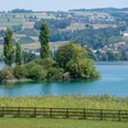 Herlisberg mit Blick auf den Baldeggersee