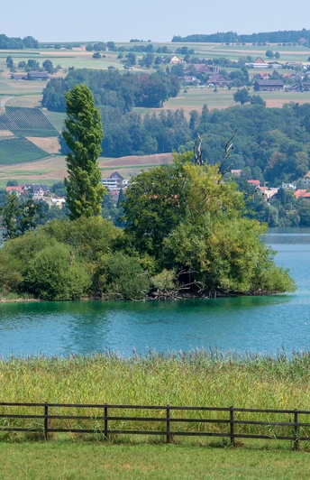 Herlisberg mit Blick auf den Baldeggersee