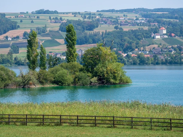 Herlisberg mit Blick auf den Baldeggersee