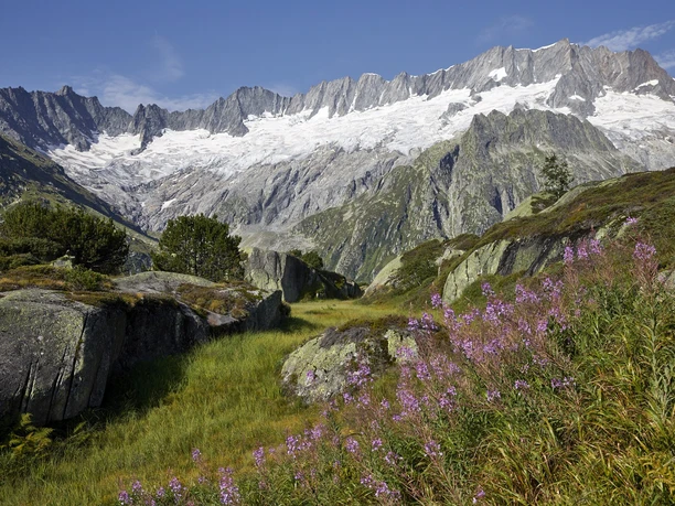 Dammagletscher Göscheneralp