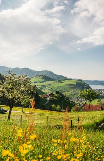 Ober Hostatt, oberhalt Stans