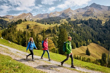 Auf dem Weg nach Niederrickenbach