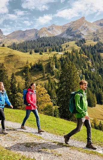 Auf dem Weg nach Niederrickenbach