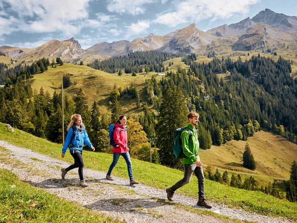 Auf dem Weg nach Niederrickenbach