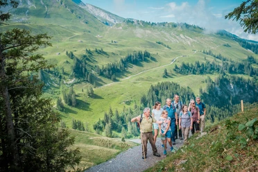 Klewenalp Alpenblumenweg