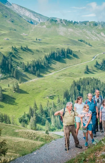 Klewenalp Alpenblumenweg