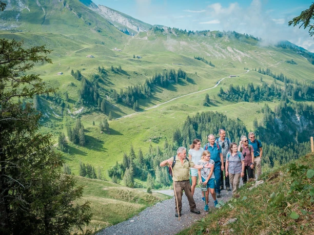 Klewenalp Alpenblumenweg