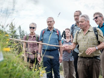 Geführte Rundwanderung auf dem Alpblumenweg
