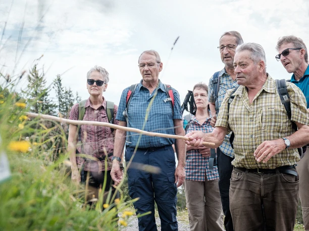 Geführte Rundwanderung auf dem Alpblumenweg