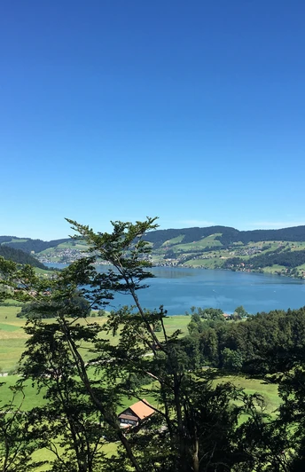 Blick auf den Ägerisee kurz vor der Stauffacher-Kanzel