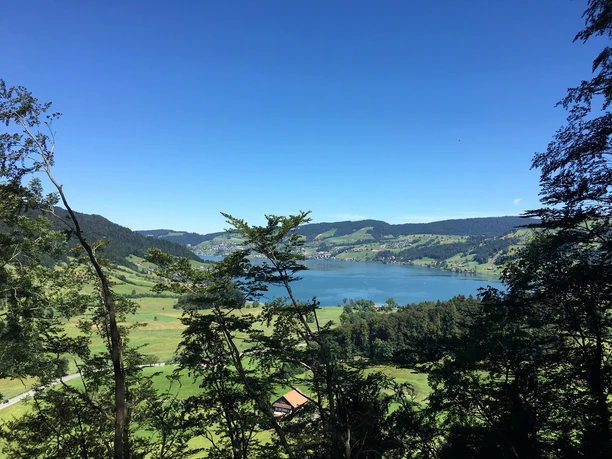 Blick auf den Ägerisee kurz vor der Stauffacher-Kanzel