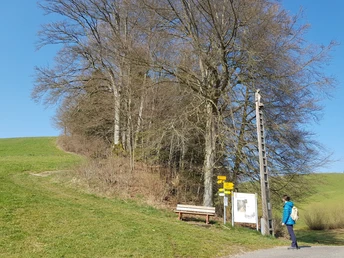 Wir kreuzen den Grenzpfad