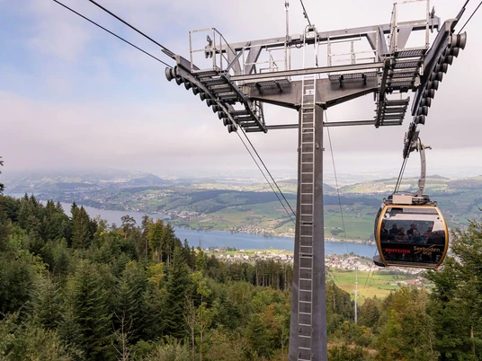 Luftseilbahn Küssnacht am Rigi - Seebodenalp