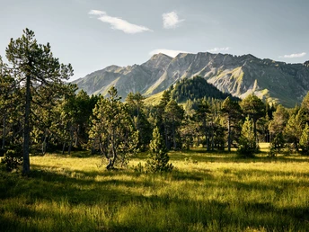 Wandern durch wunderbare Moorlandschaften