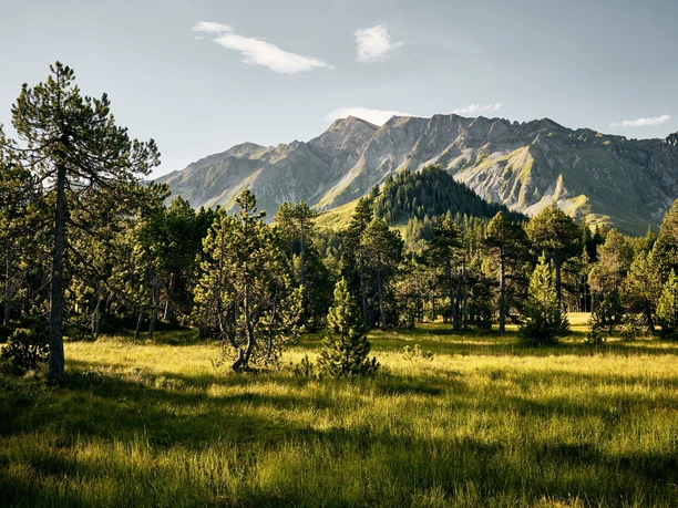 Wandern durch wunderbare Moorlandschaften