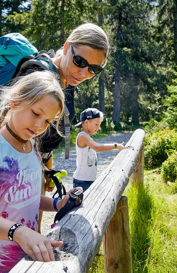 Den Spürsinn testen auf dem Sonnentauweg.