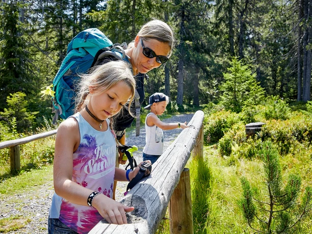 Den Spürsinn testen auf dem Sonnentauweg.