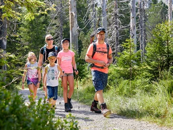 Der farbenprächtige Rundweg verzückt mit Schmetterlingen, Libellen und hübschen Blumen, darunter viele Orchideen.