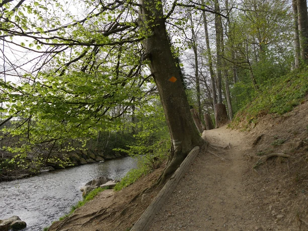 Uferweg vor der Wässermatte