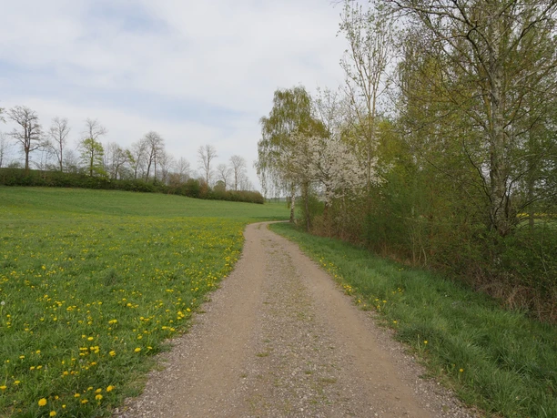 Uferweg zurück nach Ettiswil