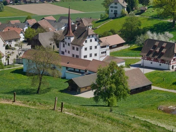 Blick zurück zum Schloss Altishofen