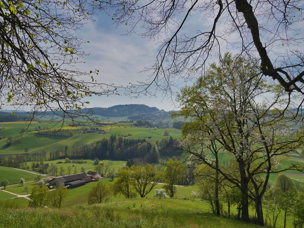 Aussicht vom Isehuet 620 m